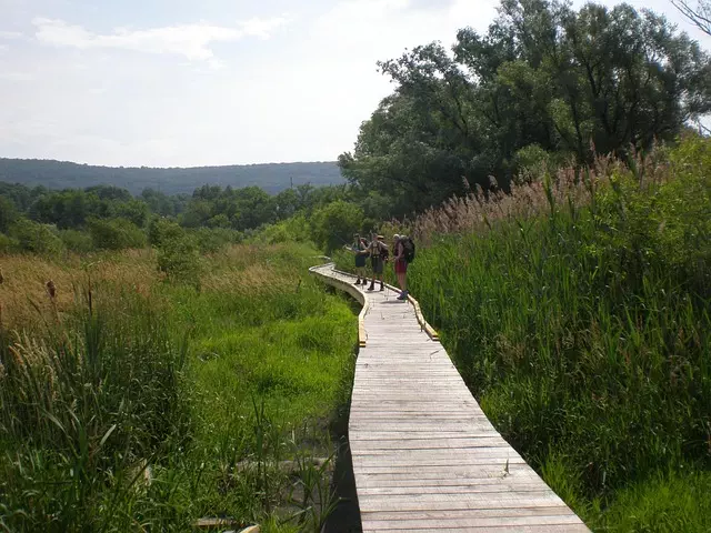 Unveiling Mullica Hill Historic District: Gloucester County’s Cultural Gem