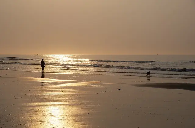 ocean new jersey