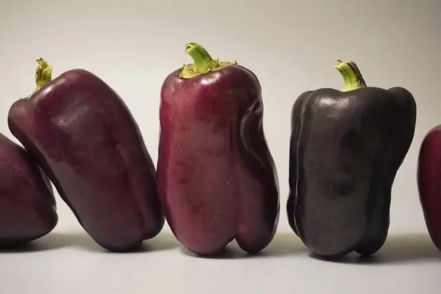 weird canned food