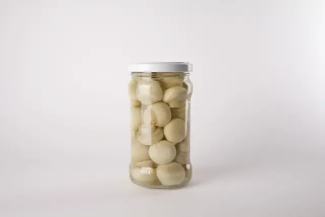 weird canned food