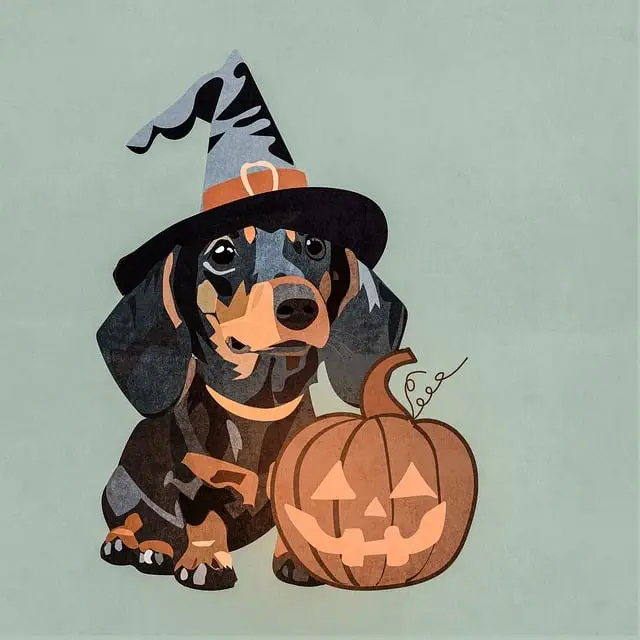 boys Halloween costume