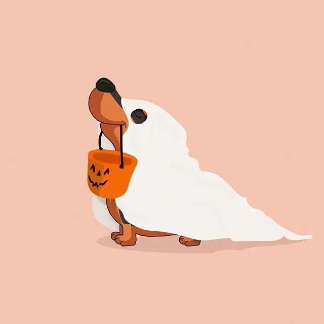 boys Halloween costume
