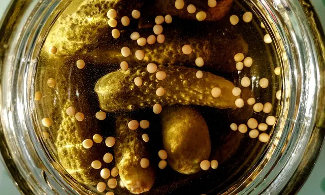 weird canned food