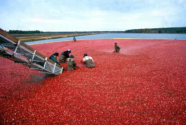 atlantic county new jersey