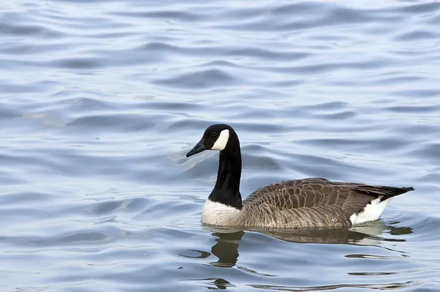 hudson county new jersey