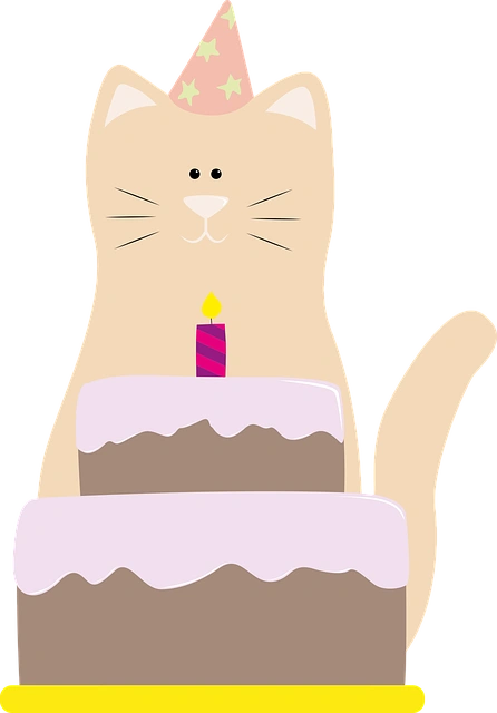 Birthday