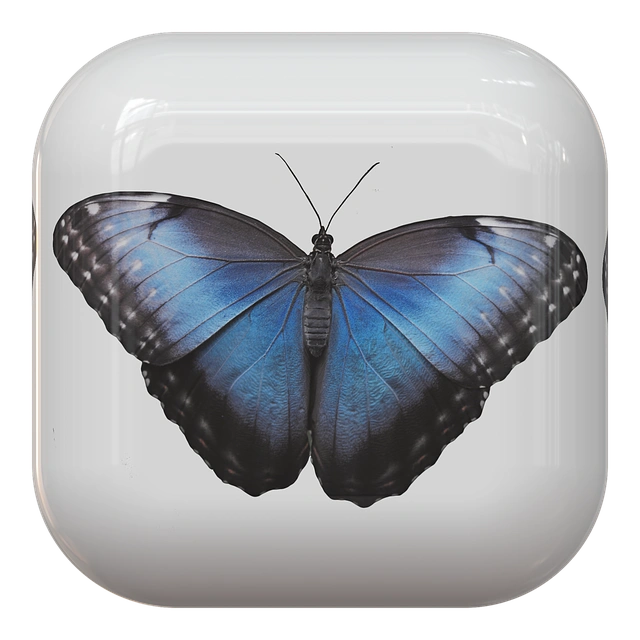 website-design-640x480-57852900.png