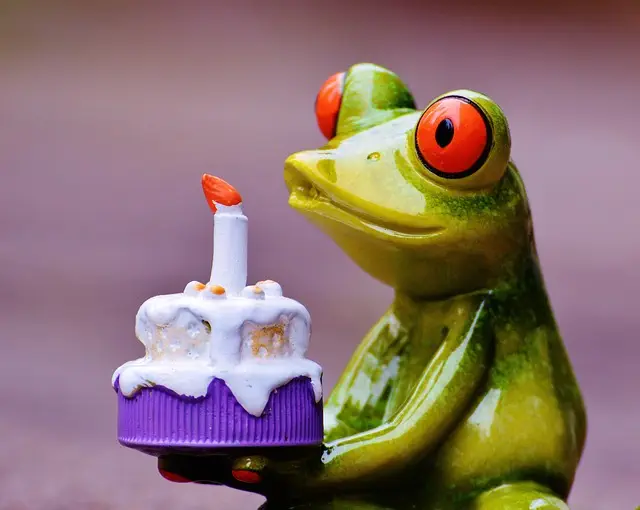 Birthday