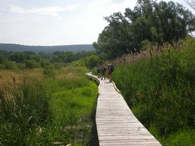Columbia Trail High Bridge: History and Iconic Role in Hunterdon County, NJ