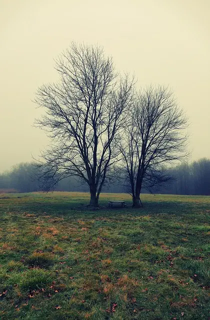 middlesex new jersey