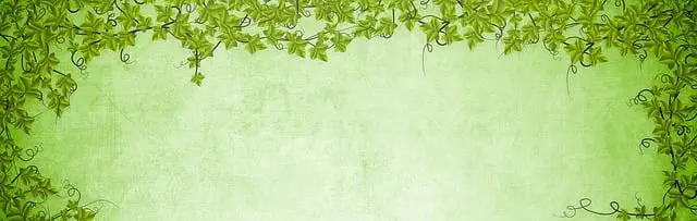 website design