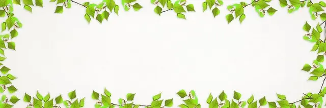 website design