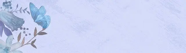 website design