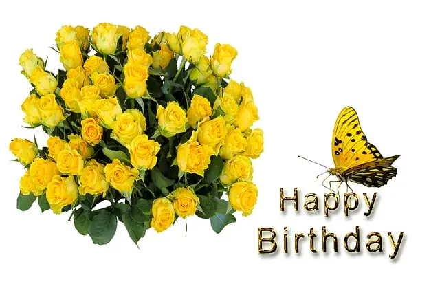 Birthday