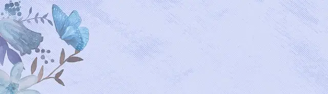 website design