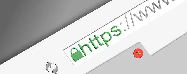 website design