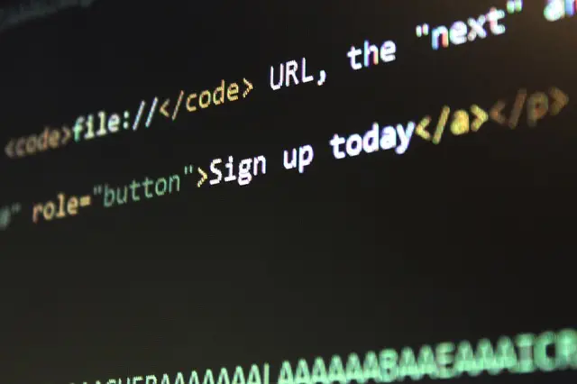 website design