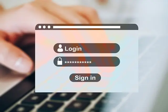 website design