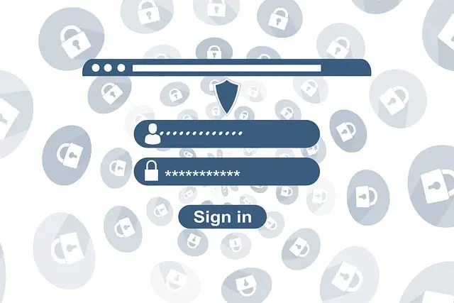 website design