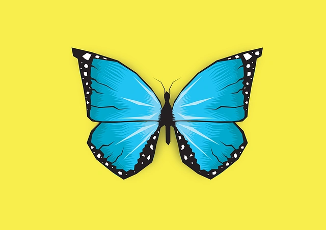 website-design-640x480-92956906.png