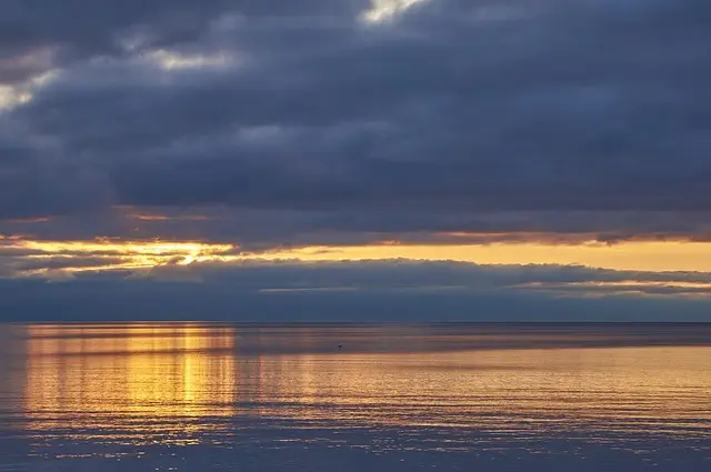 Long Bridge Park: A Scenic Escape in Burlington County, NJ