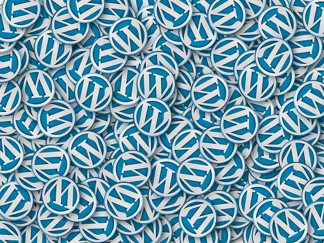Unleash Your WordPress Site’s Potential: Custom Code for Brick NJ Design