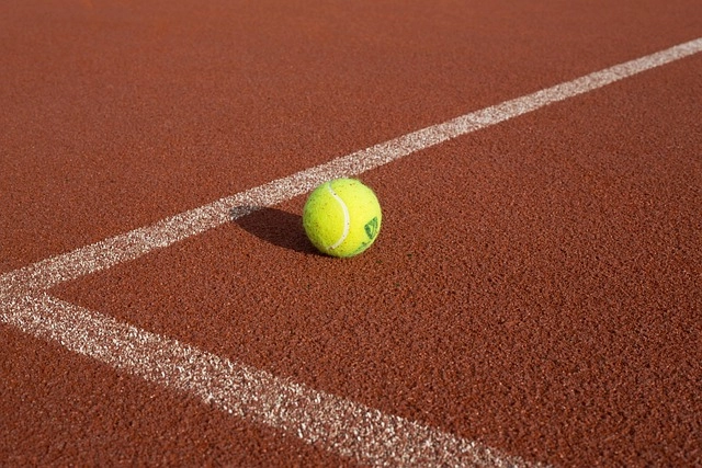 Optimizing Fantasy Sports: Strategizing with Transaction Limit Settings
