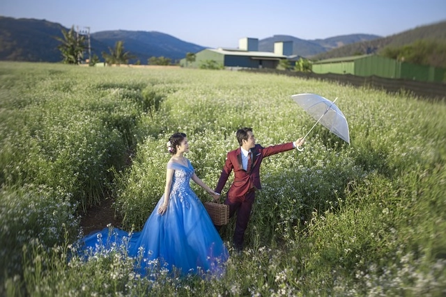 wedding