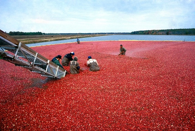 atlantic county new jersey