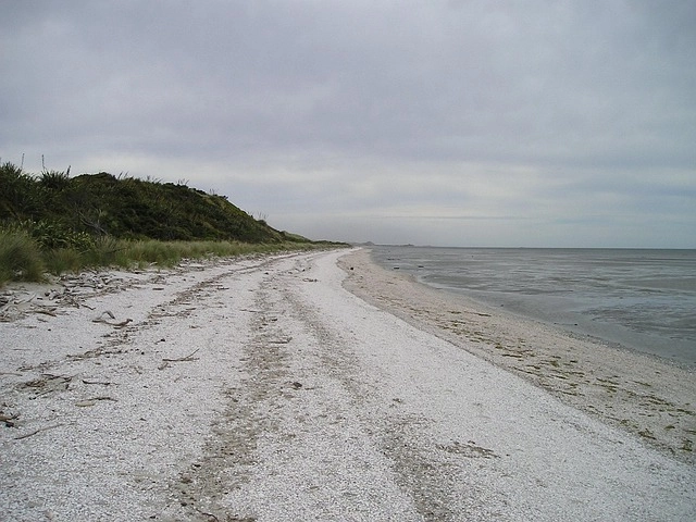 cape may county new jersey