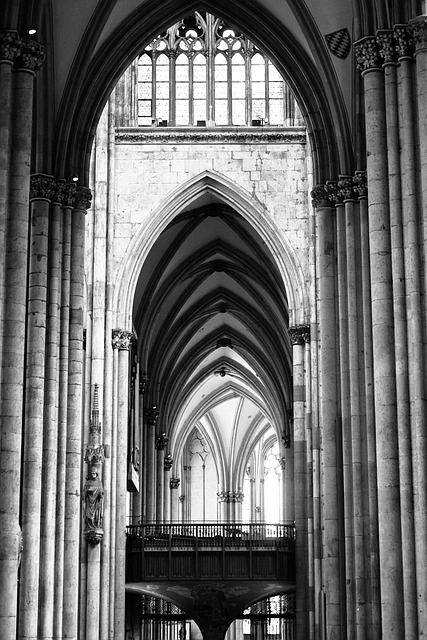 cologne
