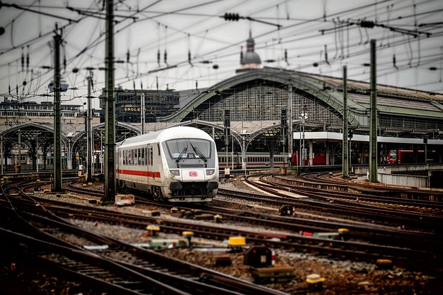 cologne