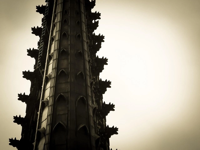 cologne