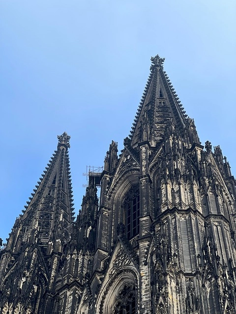 cologne