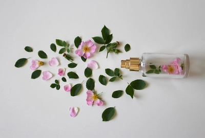 Dolce and Gabbana Perfume: Industry Awards and Legacy