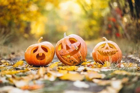 boys-halloween-costume-640x480-40653204.jpeg