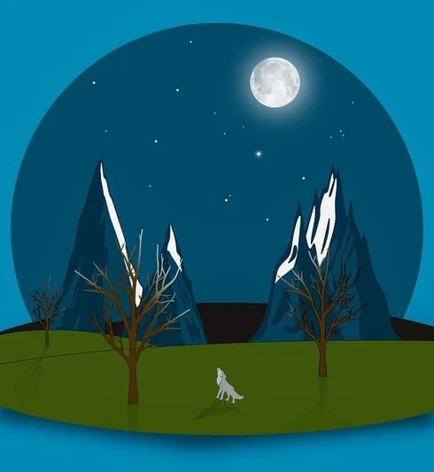 website-design-640x480-16727182.jpeg