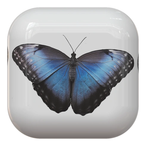 Wix Free Website: Powerful Design for Small Businesses in New Brunswick NJ